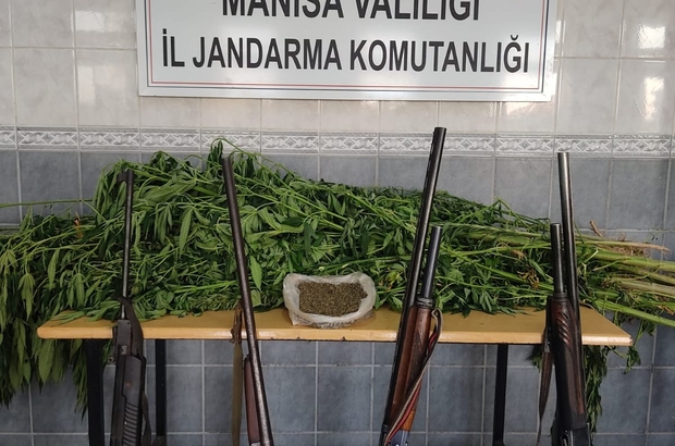 Esrar ve kenevirlerin ele geçirildiği bağ evinin sahibi aranıyor