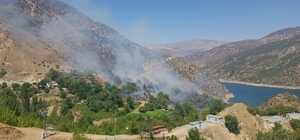 Aşırı sıcaklar yangına sebep oluyor