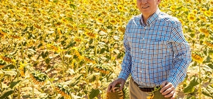 Ayçiçekler hasat için gün sayıyor
Denizli'de sarıya bürünen ayçiçek tarlala...