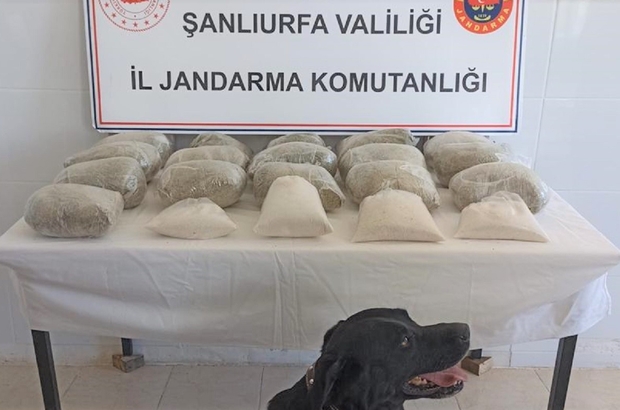 Şanlıurfa’da 20 kilogram uyuşturucu ele geçirildi: 2 gözaltı