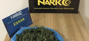Ordu'da uyuşturucu operasyonlarında 1 tutuklama
