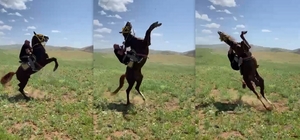 Muhtarın attan düşme anı
Sırtına binilmesiyle şaha kalkan at, sırt üstü yer...