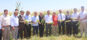 Karaman'da hasat günü etkinliği yapıldı