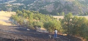 Bingöl'de çalılıkta çıkan yangın ormana sıçramadan söndürüldü
