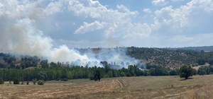 Bursa'da meşelik alanda çıkan yangın büyümeden söndürüldü