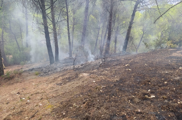 Muğla'da yıldırım kaynaklı orman yangını söndürüldü