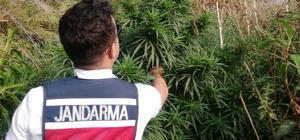 İzmir'deki uyuşturucu operasyonlarında 6 şüpheli tutuklandı