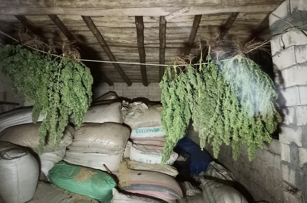 Şanlıurfa'da 23 kilogram esrar ele geçirildi