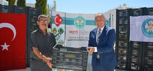 Selendi'de zeytin üreticilerine kasa dağıtıldı