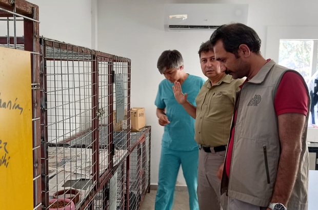 Fethiye Belediyesi Geçici Hayvan Bakım Merkezi denetlendi