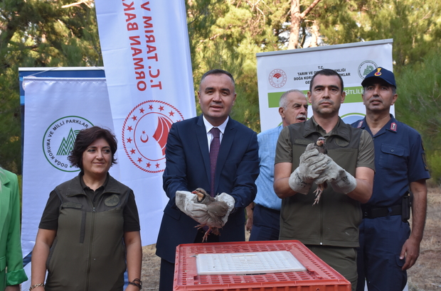 Kemalpaşa'da 175 kınalı keklik doğaya bırakıldı