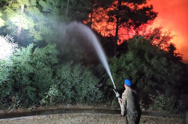 Marmaris'teki orman yangınına müdahale karadan devam ediyor
