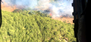 Kütahya'da çıkan orman yangınına müdahale ediliyor