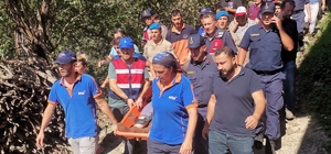 Giresun'da kaybolan Alzheimer hastası yaşlı adam ormanda bulundu