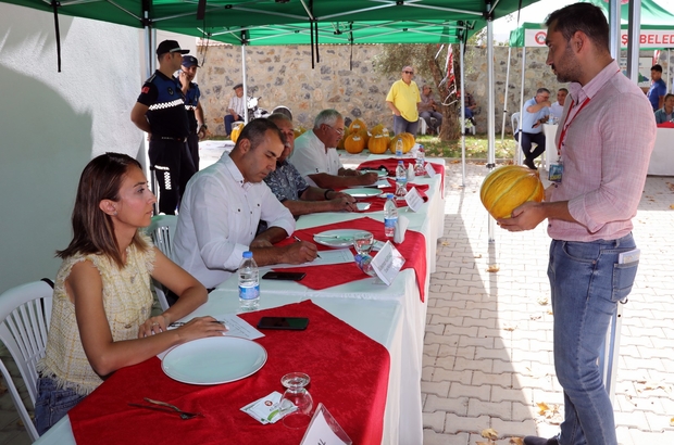 Muğla'da Yayla Kavunu Yarışması düzenlendi