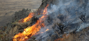 Bayburt'ta dağlık alanda çıkan örtü yangınına müdahale ediliyor