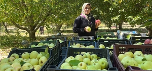 Isparta'dan yıl sonuna kadar 200 bin ton elma ihraç edilecek