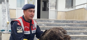 Kırıkkale'de yaralı kara akbaba tedavi altına alındı
