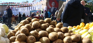 Yalova'da 9. Subaşı Kivi Festivali başladı