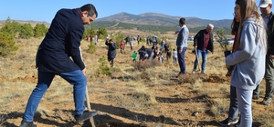 Hüyük'te hatıra ormanına fidan dikildi