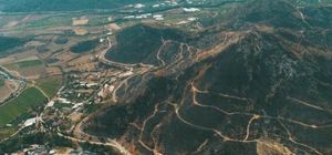 Isparta'da yanan ormanlık alan yeşermeye başladı