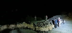 Elazığ'da kaybolan 230 küçükbaş hayvanı jandarma buldu