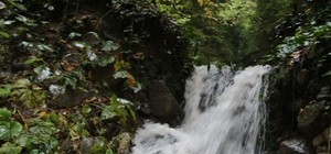 Artvin Valisi Doruk Delikli Kaya Şelalesi'nde incelemelerde bulundu