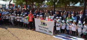 Manavgat'ta geçen yıl yanan alanlara fidan dikildi