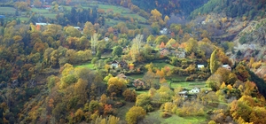 Gümüşhane'deki "Örümcek Ormanları"ndan sonbahar manzaraları