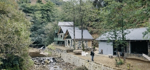 Rize'de inşaatı durdurulan 11 ruhsatsız bungalov yıkıldı