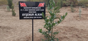 Osmaniye'de, terör saldırısında yaşamını yitiren Ayşenur öğretmen anısına f...