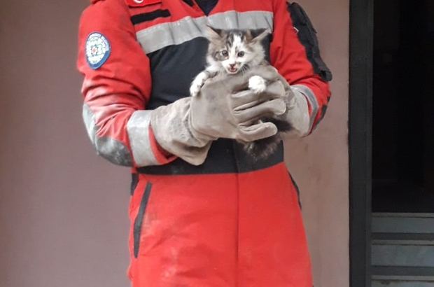 Fethiye’de apartmanın havalandırma boşluğuna düşen kedi kurtarıldı
