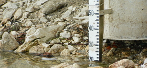 Eğirdir Gölü'nün su seviyesi geçen yıla göre 13 santimetre düştü