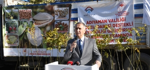 Adıyaman'da çiftçilere 6 bin ceviz fidanı dağıtıldı