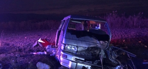 Aydın'da otomobilin panelvanla çarpışması sonucu 9 kişi yaralandı