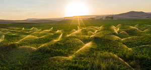 Sivas'ta DAP destekleri 2023'te de devam edecek