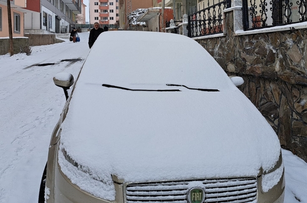 Erzurum, Ardahan ve Kars'ta soğuk hava etkili oluyor