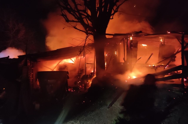 Kocaeli'de ahır yangınında 30 tavuk telef oldu