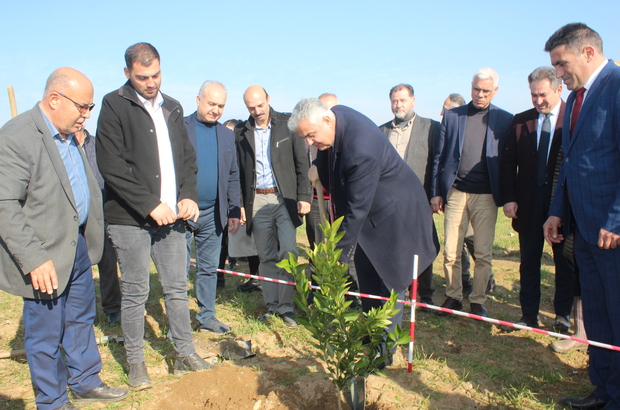 Ödemiş'te meslek lisesine tahsis edilen alanda fidanlar toprakla buluştu