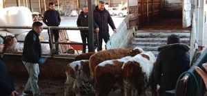 Niğde'de faili meçhul 9 asayiş olayı aydınlatıldı