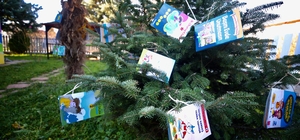 Köy okulunun bahçesindeki ağaçlar kış ortasında "kitap" açtı