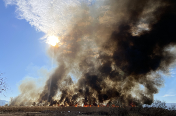 İznik Gölü kıyısındaki sazlık alanda yangın çıktı