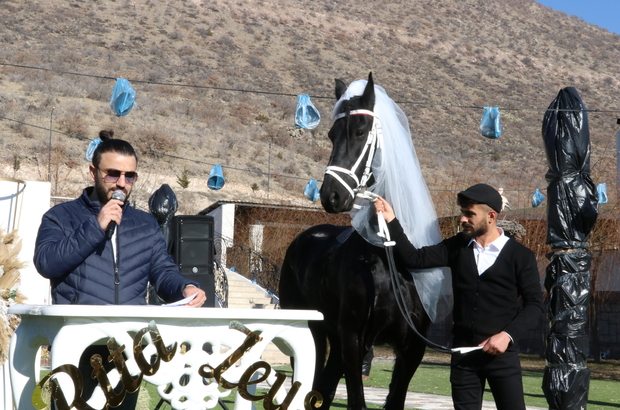 Kayseri'de çiftliğin yeni üyesi atlara "düğün" yaptılar