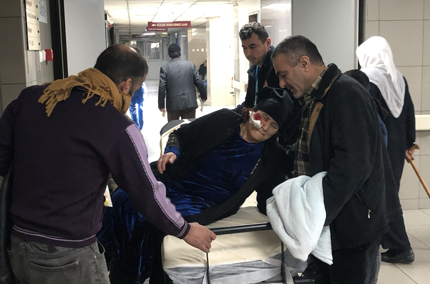 Bursa'da sahipsiz köpeklerin saldırısına uğrayan yaşlı kadın yaralandı