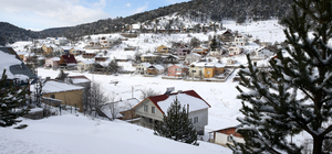 Sivas'ta çam ağaçlarıyla kaplı Eğriçimen Yaylası'na kar yağdı