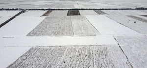 Eskişehir'de yağmur ve kar, suya hasret tarım arazilerine ilaç gibi geldi