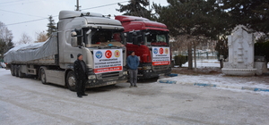 Karaman ve Afyonkarahisar'da deprem bölgesine yardım ve destekler sürüyor