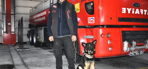 Arama kurtarma köpeği "Gece" enkaz altındaki 18 kişiye ulaşılmasını sağladı