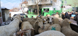 Vatandaşların kırsal mahallede topladığı 40 küçükbaş deprem bölgesine bağış...