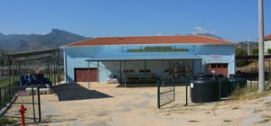 Mihalgazi Belediyesi vatandaşlardan turşuluk ürün satın alacak